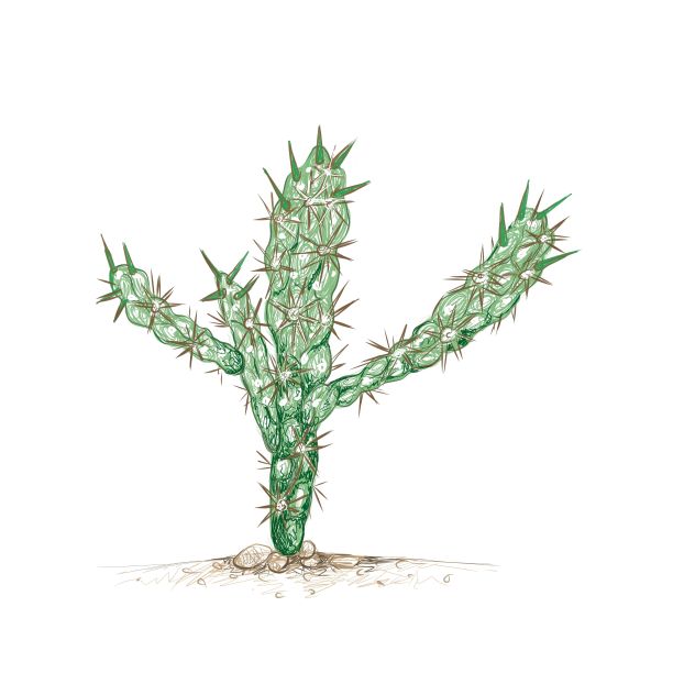 仙人掌手绘素描图片下载