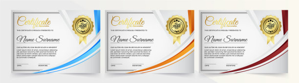 会员证书最佳奖励文凭套装图片下载