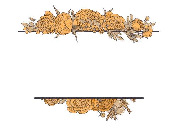 牡丹,玫瑰,花朵。圆的框架。背景说明。手绘轮廓。园林植物的开花抽象工厂图片。向量图片下载