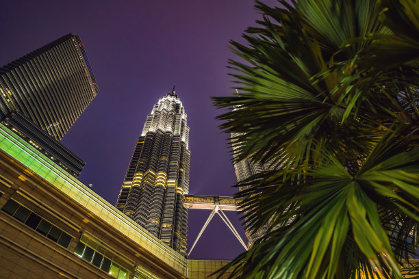 2018年11月18日，马来西亚吉隆坡:棕榈树和吉隆坡skyscrapers图片下载