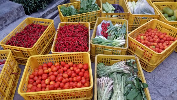 篮子里的新鲜蔬菜和水果图片下载