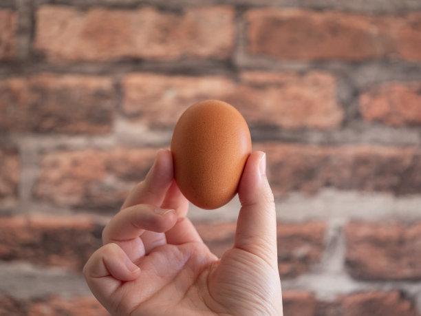 一个人的手抓住了一个鸡蛋。图片下载