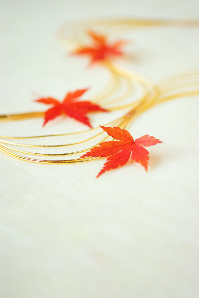 枫叶的秋叶图片下载