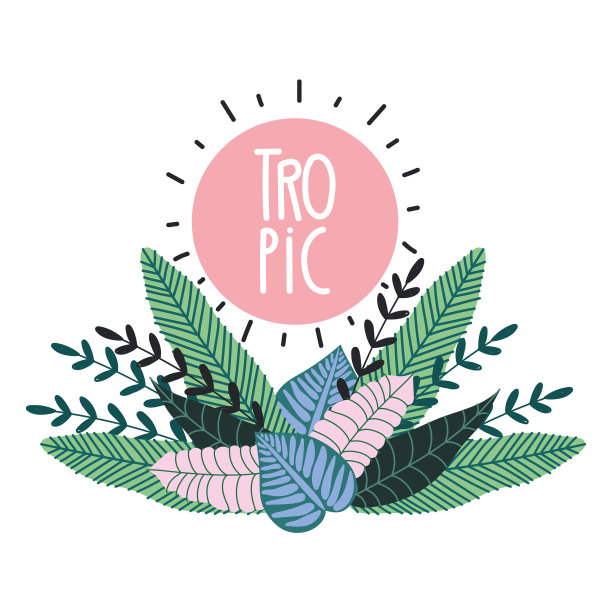 热带的叶子，奇异的植物叶子创意图片下载