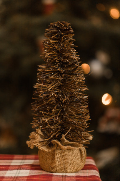 木瓶刷式圣诞树包裹在粗麻布图片下载