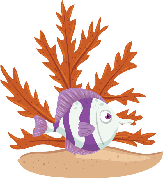 海里的水下生活可爱的鱼带着白色的海藻图片下载