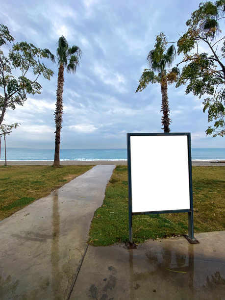 海滩上的照片。图片下载