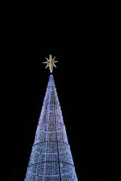 传统的圣诞树图片下载