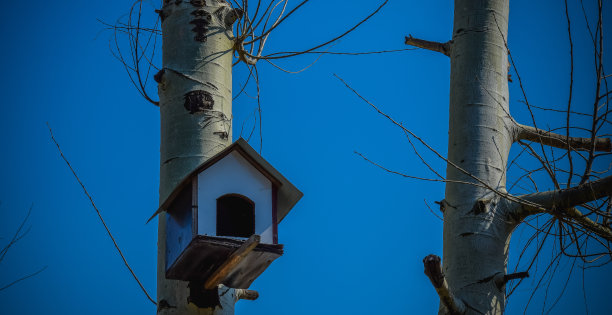 东欧的自然、风景、湖泊图片，以及这美丽的自然景观。图片下载