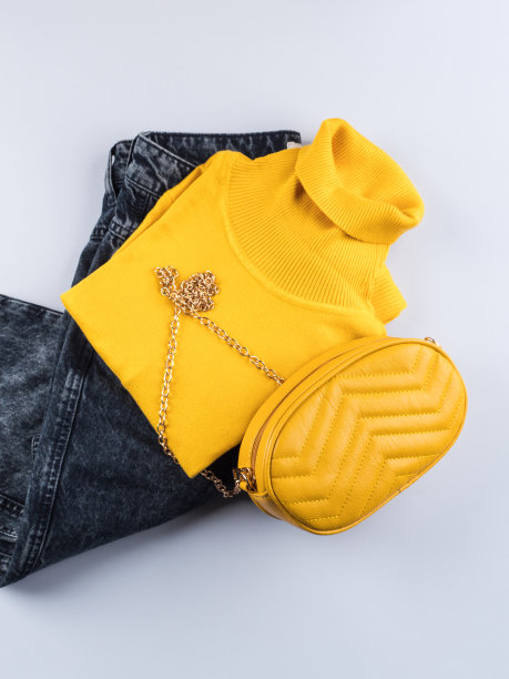 高领黄色包包的时尚套装图片下载
