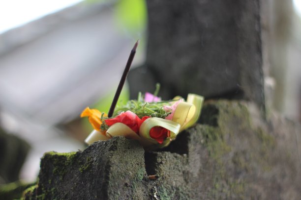 迦南纱丽图片下载