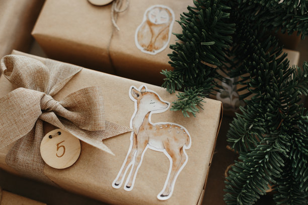 孩子们的圣诞降临历。图片下载