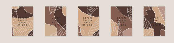 有文本拷贝空间的创意故事模板的集合。现代矢量布局与手绘有机形状和纹理。时尚设计的社交媒体营销数字横幅印刷。图片下载