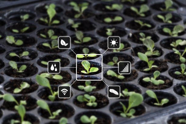 智能农业、农业、商业和技术。农民利用数据增强扫描轨迹应用混合虚拟现实植物生长农产品农场细节进行质量验证。图片下载