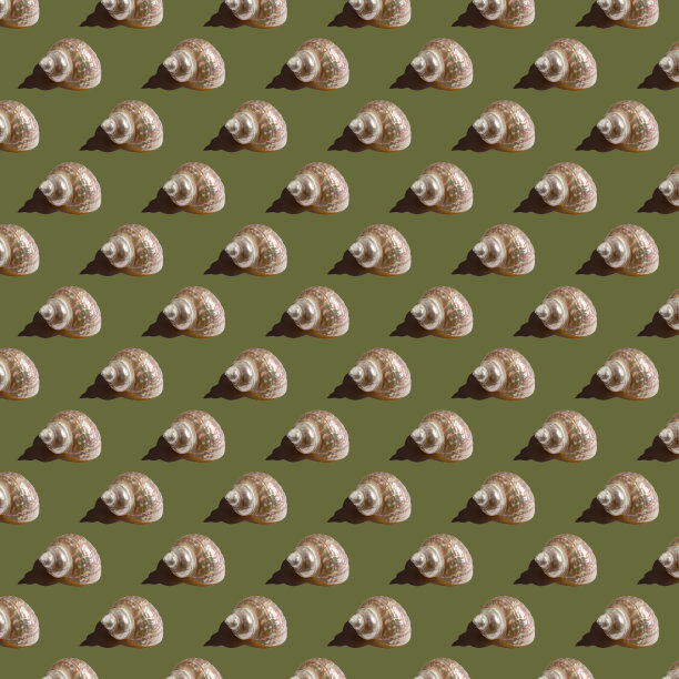 无缝的极简贝壳图案在绿色背景上。照片拼贴。波普艺术。明信片。印刷在织物上。包装图片下载