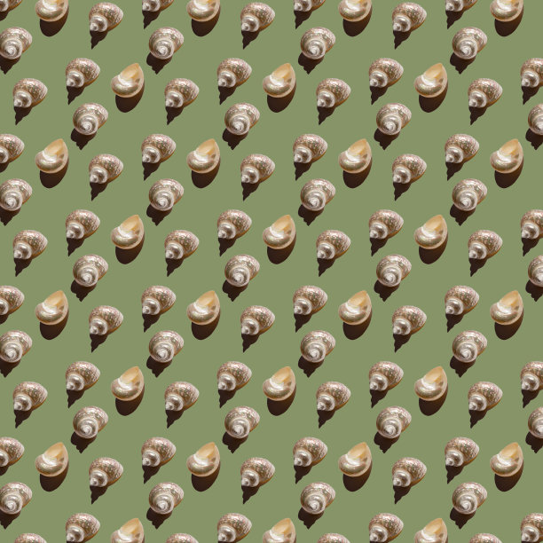 无缝的极简贝壳图案在米色背景。照片拼贴。波普艺术。明信片。印刷在织物上。包装图片下载