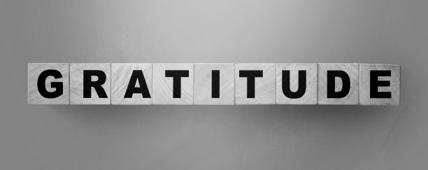 黑色和白色的木制立方体上的感恩词。捐赠与慈善理念图片下载