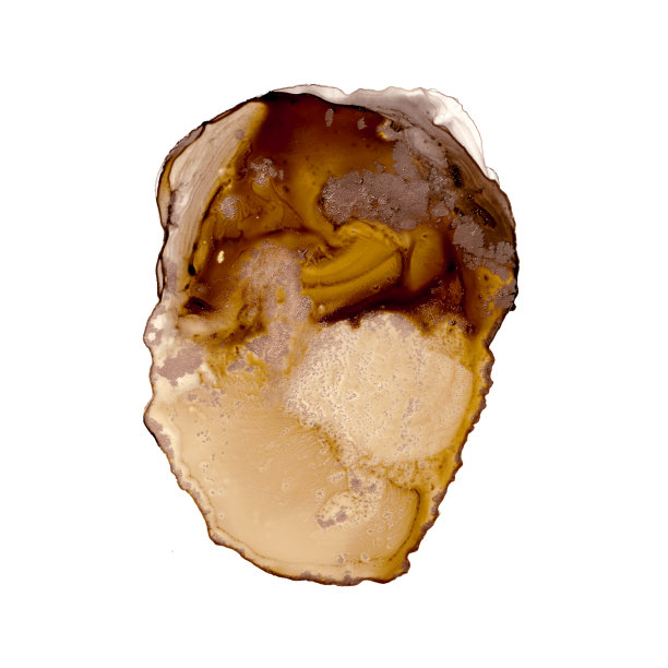 色彩鲜艳的抽象流体喷溅画。酒精墨水技术图片下载