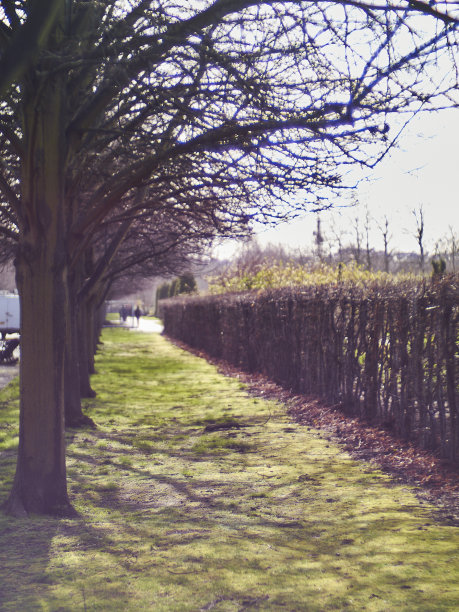 洗掉的冬季散步图片下载