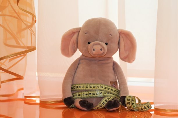 猪包米在一个橙色的背景与窗帘图片下载