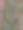 花园里一排排的植物和树叶图片下载