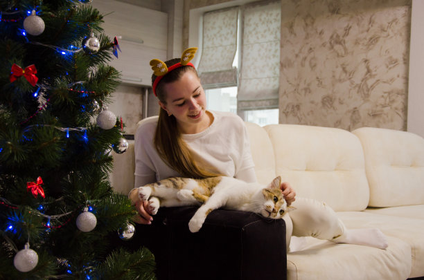 圣诞节，女孩在圣诞树旁拥抱猫图片下载