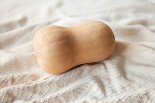 生态栽培的冬南瓜-白色桌布上的橘皮南瓜。选择性聚焦和自然光照片。图片下载