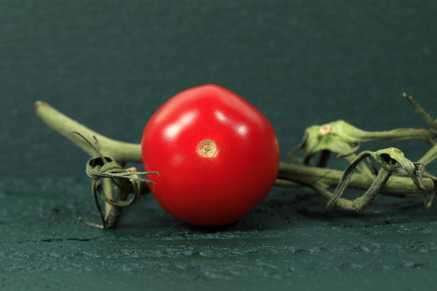 一个成熟的红番茄和一根小树枝图片下载