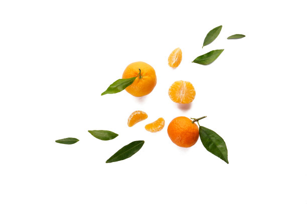 在白色的背景上平铺着孤立的橘子叶子。图片下载