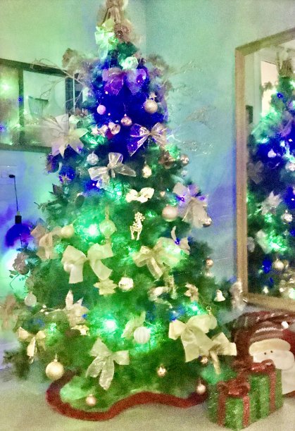 彩灯圣诞树图片下载