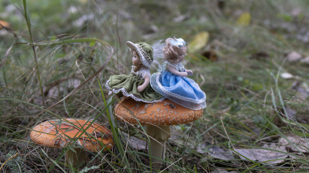 秋天特有的红色伞菌(蝇木耳)和坐在上面的森林公主。图片下载