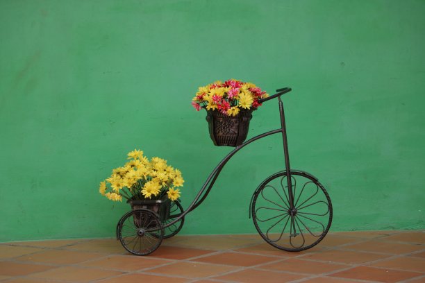 带花的三轮车在绿墙前图片下载