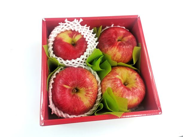 白色背景的苹果照片图片下载