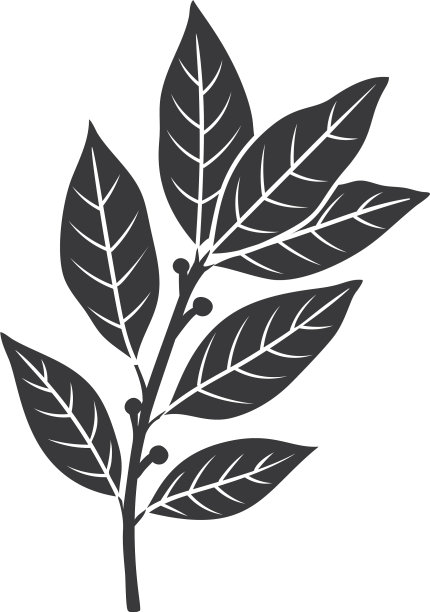 月桂叶轮廓图标图片下载