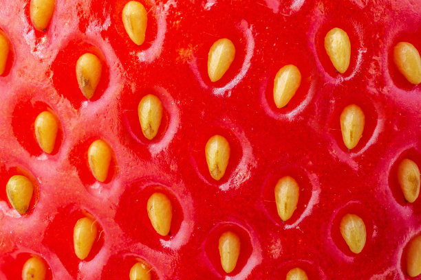 新鲜的草莓质地接近背景图片下载