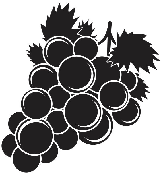 葡萄果实轮廓图片下载