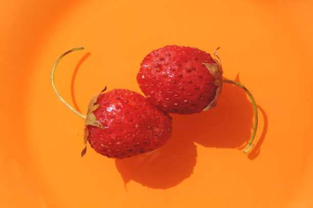 两颗熟透多汁的草莓在橙色的背景上图片下载