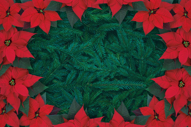 圣诞节的背景图片下载