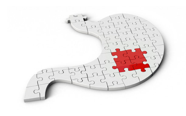 胃的形状拼图。胃形状的拼图3d插图孤立在白色的背景。图片下载