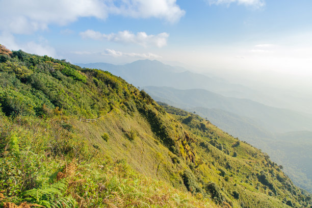 山地森林图片下载