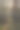 阳光照射在部分阴暗而雾蒙蒙的松林中图片下载