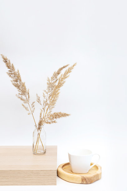 白墙上木桌上的潘帕斯草玻璃花瓶图片下载