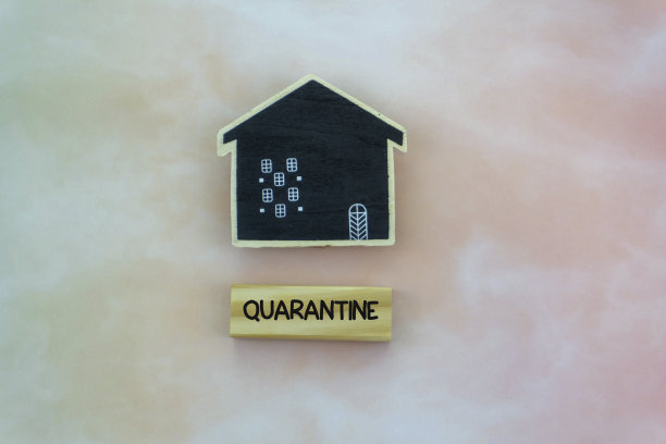 模型房屋和检疫文本在木块上图片下载