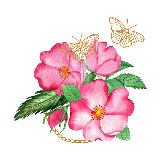 水彩排列的玫瑰花瓣，叶，芽和金色的蝴蝶，孤立在一个白色的背景。用于设计项目，纺织品，请柬，迎宾，婚礼设计。手绘。图片下载