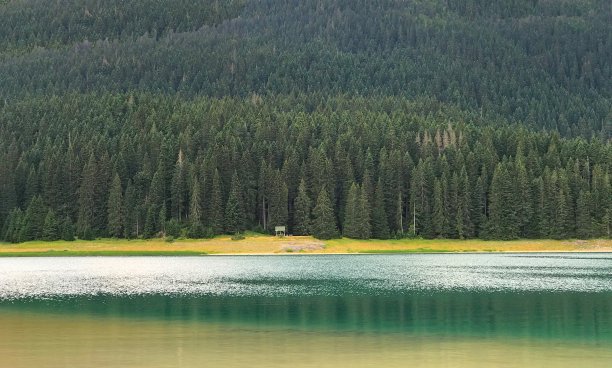 黑山扎布贾克杜尔米托国家公园的黑湖冰川湖。银光粼粼清澈的湖水神秘的湖泊，质朴的自然，茂密的针叶林，宁静，宁静，禅意。Crno jezero图片下载