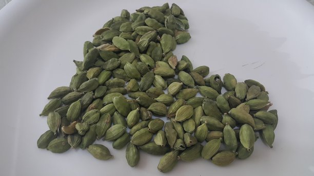 豆蔻果实带有豆蔻种子，豆蔻香料图片下载