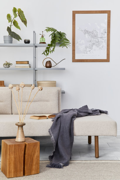 斯堪的纳维亚室内时尚的沙发，设计家具，书柜，植物，装饰，海报地图和优雅的个人配件。经典住宅中的中性客厅。模板。图片下载