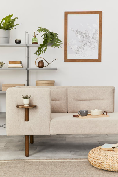 斯堪的纳维亚室内时尚的沙发，设计家具，书柜，植物，装饰，海报地图和优雅的个人配件。经典住宅中的中性客厅。模板。图片下载