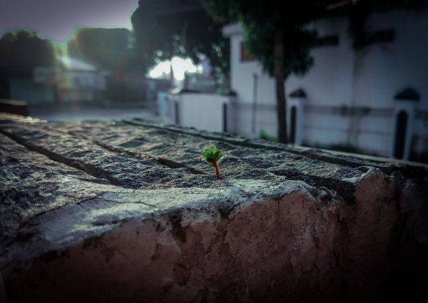 现代化生活中的一个片段图片下载