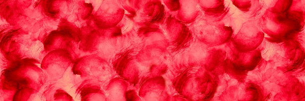 抽象的红色背景。水彩的模式。粉红色背景上的红色卷发。宽横幅与复制空间。图片下载